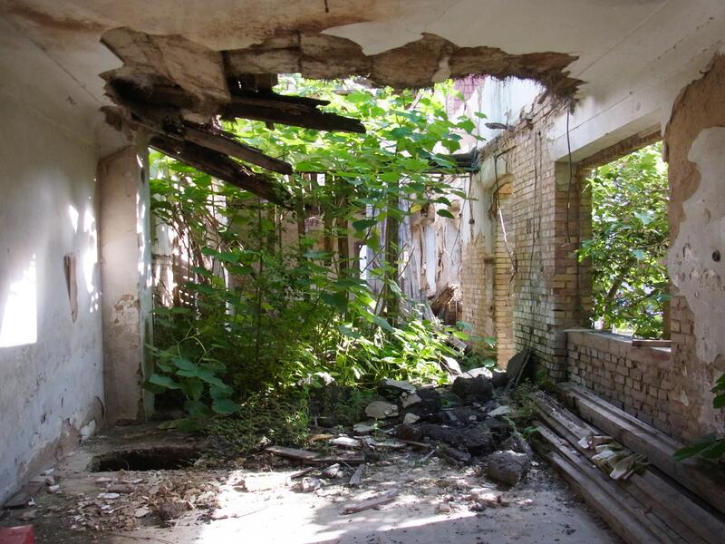 Üppige Vegetation wächst im Inneren des Gebäude